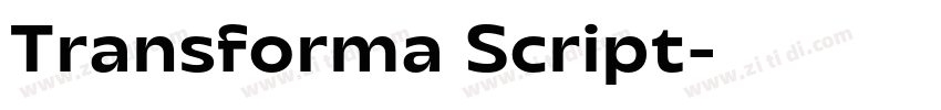 Transforma Script字体转换